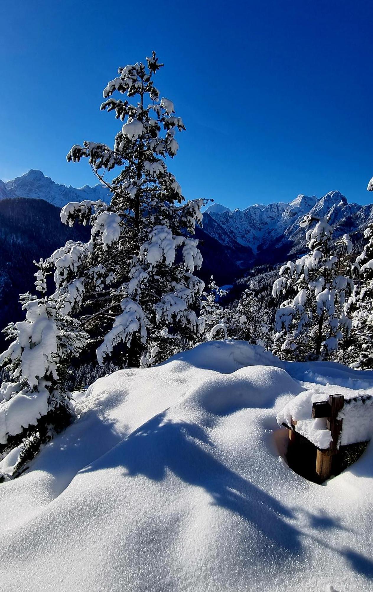 Shepherds House "Alpine Dreams" Villa Solčava Dış mekan fotoğraf