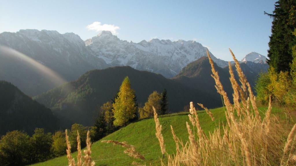 Shepherds House "Alpine Dreams" Villa Solčava Dış mekan fotoğraf